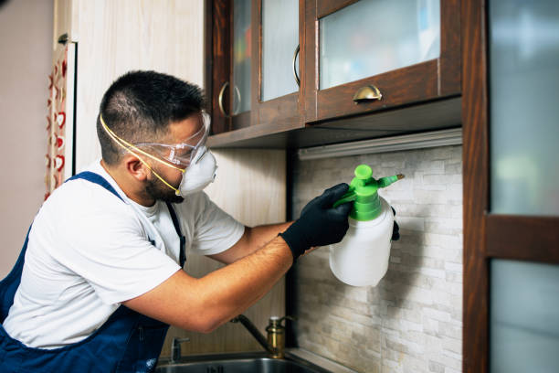 Best Commercial Pest Control Services  in Thorntown, IN