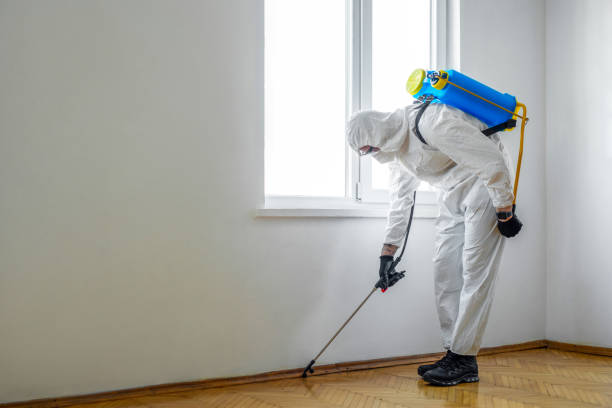 Best Best Pest Control Companies  in Thorntown, IN