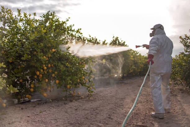 Best Best Pest Control Companies  in Thorntown, IN