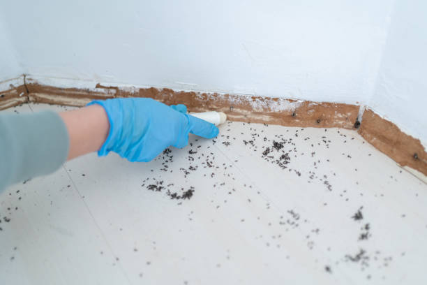 Pest Prevention Services in Thorntown, IN