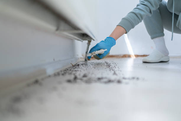 Best Local Pest Control Services  in Thorntown, IN