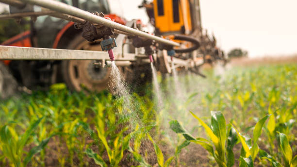 Insect Control in Thorntown, IN